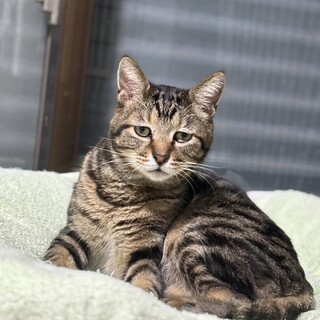 【2/9東銀座】はるくん★5歳♪