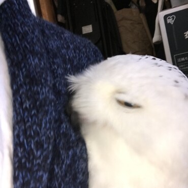 の写真