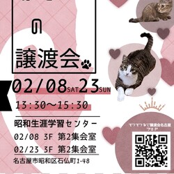猫の譲渡会　in　名古屋市昭和生涯学習センター