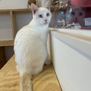 おっとりなっつこい男の子！