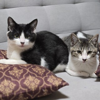 元気いっぱい仲良しボーイズ