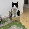 さだあきさん