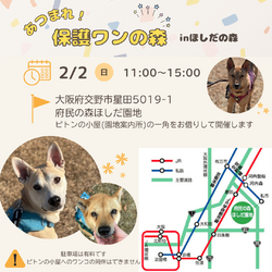 あつまれ！保護わんの森inほしだ園地(定期譲渡会)