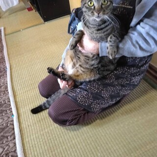 もうすぐ2歳の女の子