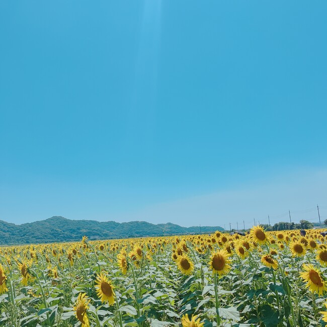 カズエ0428のカバー写真