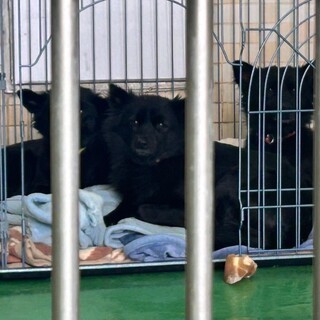 ありがとうございました！