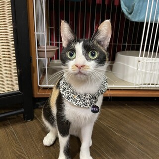 子育てがんばりました☆おでん