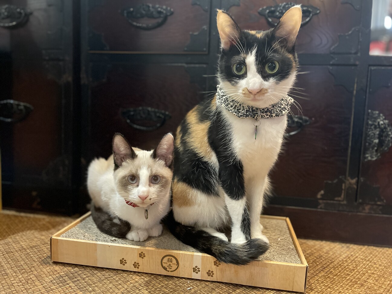 子育てがんばりました☆おでん サムネイル2