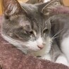 目に障害が残ってるけど見えてます‼︎ サムネイル4