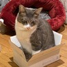 目に障害が残ってるけど見えてます‼︎ サムネイル5