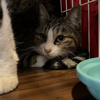 少し怖がりさん☆ごはん