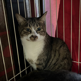 人見知りなごくうくん