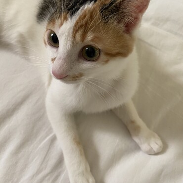 の写真