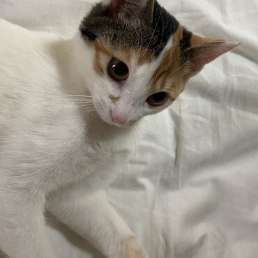 の写真