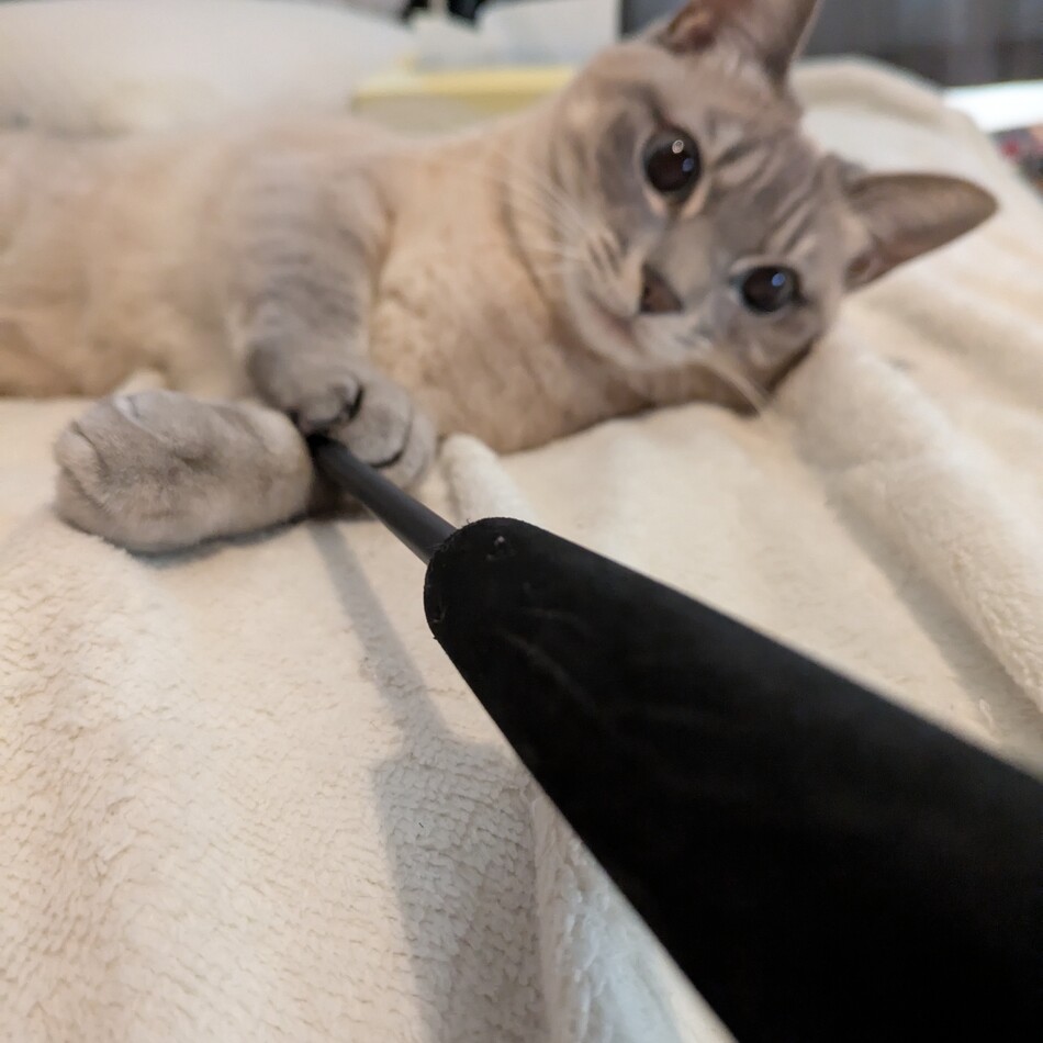 みちるのカバー写真