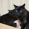 カズエちゃんの息子、遥くん サムネイル3