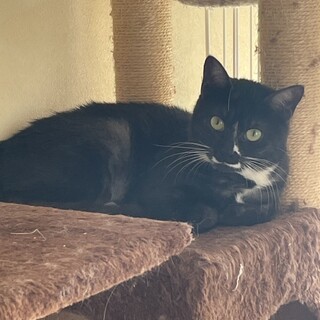 ありがとうございました★可愛い小柄なコスモちゃん