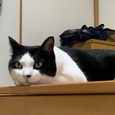 の写真