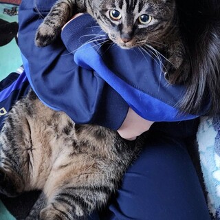 ぽっちゃり男の子