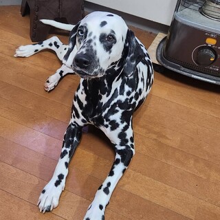 ありがとうございました！！