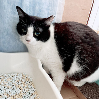 お外で頑張ってきた♀花子ちゃん約8歳