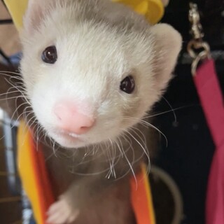 ありがとうございました！