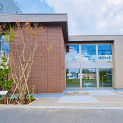 【さいたま市西区】2/11㊗猫専門病院「ぽのいえ」保護猫譲渡会 サムネイル2