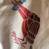 むぺぺ