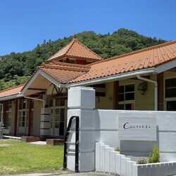 contatto犬猫譲渡会 サムネイル2