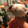 ねぎまとつくね