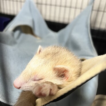 の写真