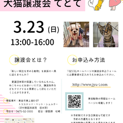 犬猫譲渡会「てとて」