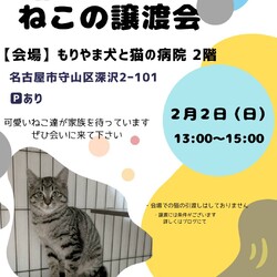 ねこの譲渡会inもりやま犬と猫の病院