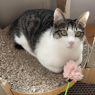 怖がりだけどやさしいおとこのこ