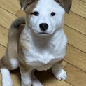 イケメンのイヴくん