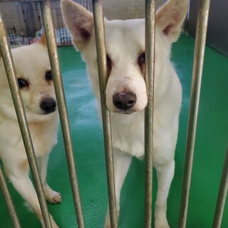 ありがとうございました！