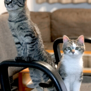 じん♂ /  べる♀ 