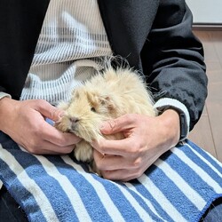 「とろろさん近況(1 月)」サムネイル2