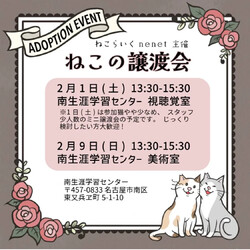 ねこのmini譲渡会
