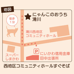 第6回保護ねこ譲渡会 サムネイル2