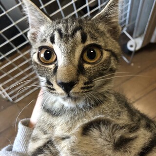 兄妹、一緒に幸せになれました、