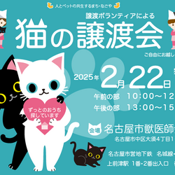 猫の譲渡会☆大須商店街近く