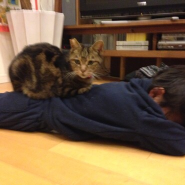 の写真