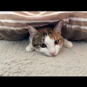 奇跡の生還♡みいろちゃん