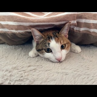 奇跡の生還♡みいろちゃん