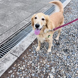 とっても優しい女の子