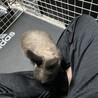 の写真