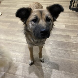 笑顔がかわいいウィン