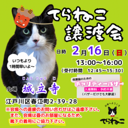 【第9回】てらねこ譲渡会