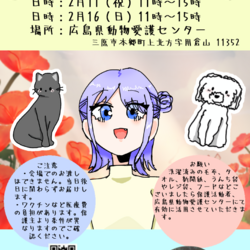 犬猫譲渡会